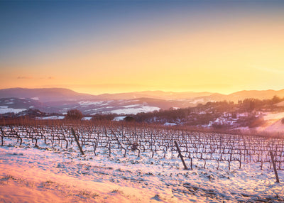 Proeflijst Wintertasting 2024