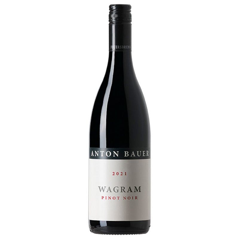Anton Bauer | Wagram Pinot Noir | 2021